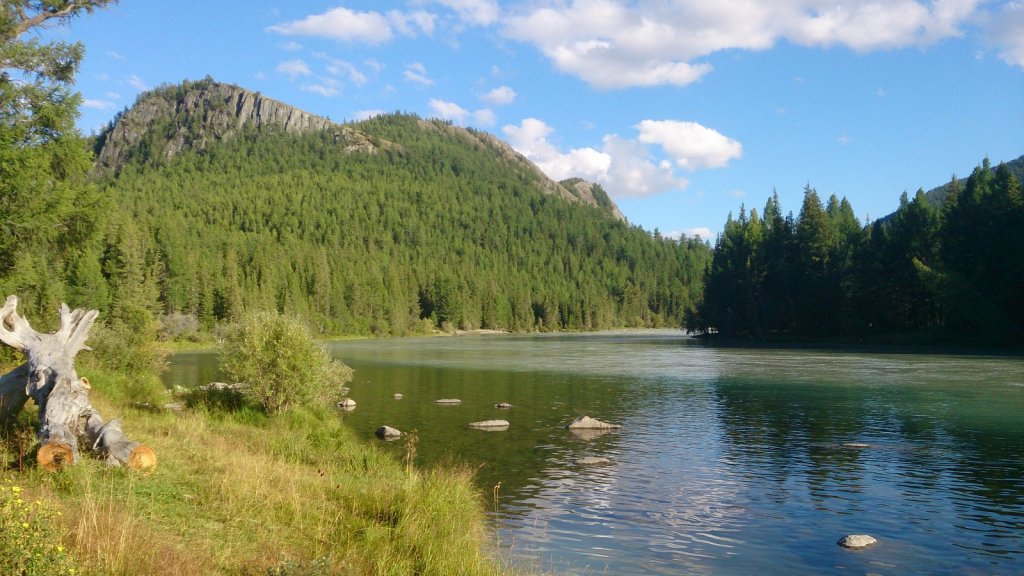 Бара и Аргут