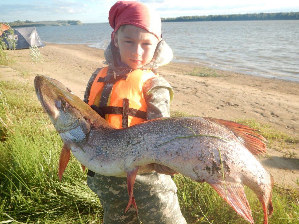 зверюга