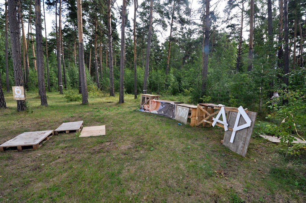 Свиньи в сосновом лесу-4. Берег Обского моря, недалеко от базы На Камнях