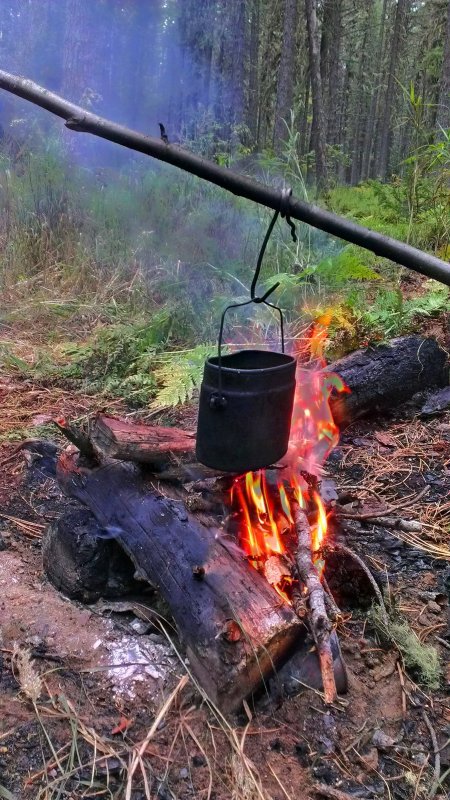 Чаек в процессе