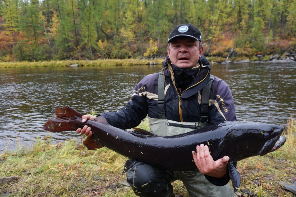 Подарок северной реки