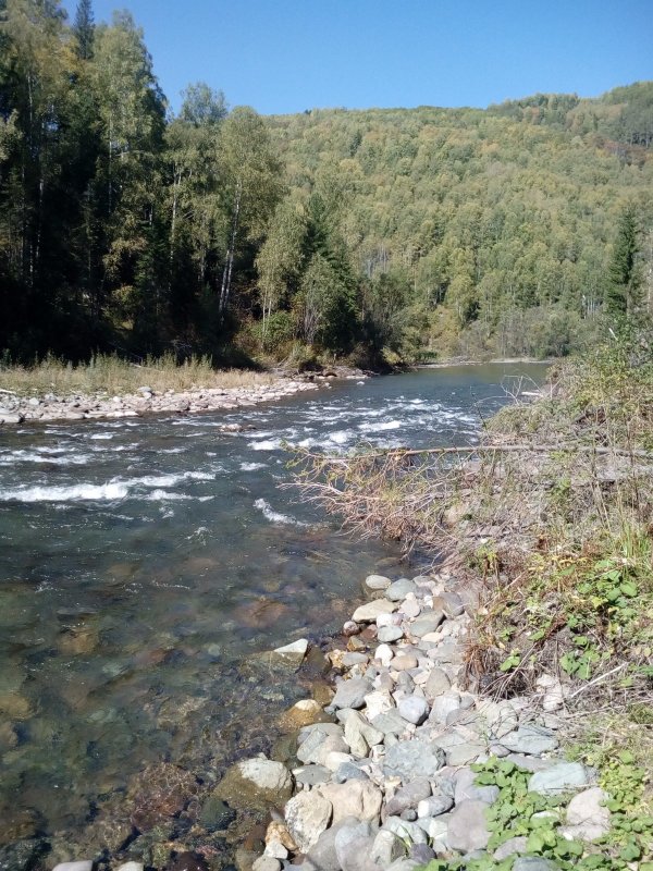 Красавица река