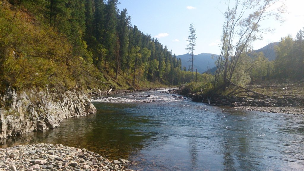 Каракокша