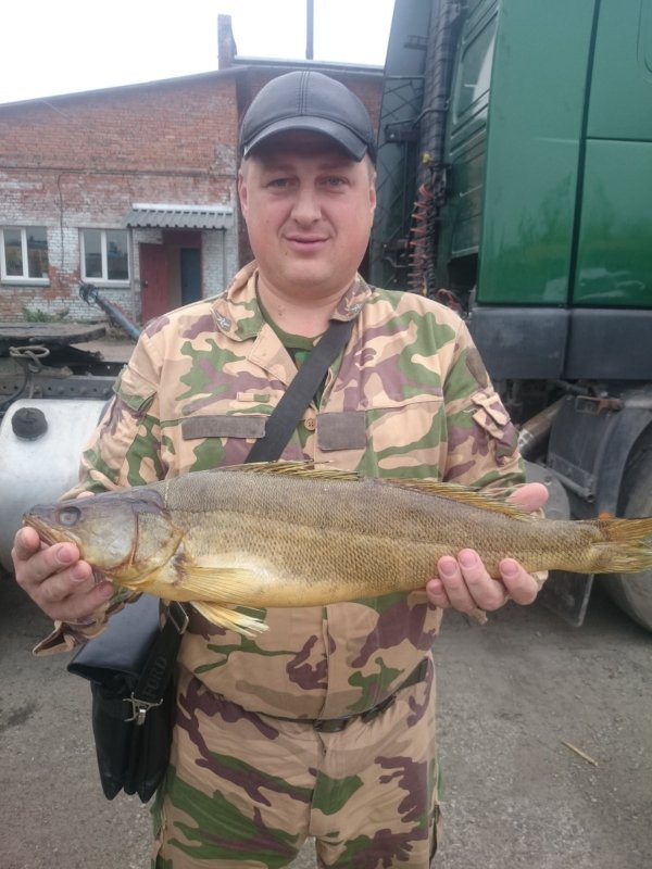 Закоптил "кабанчика"