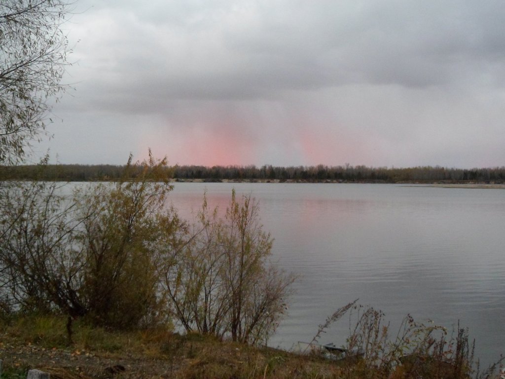 Падал красный снег...