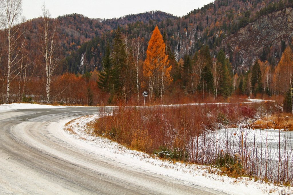 Осенний колорит