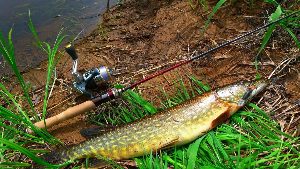 Монолеска для холода. SkyLine Fluorocarbon Composition IceTech PRO.