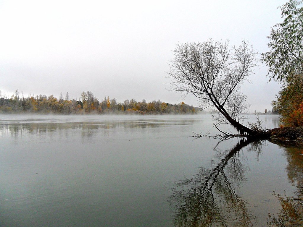 Морозное утро..