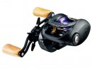Мультипликаторная катушка Daiwa 16 Zillion TW HLC1514SHL