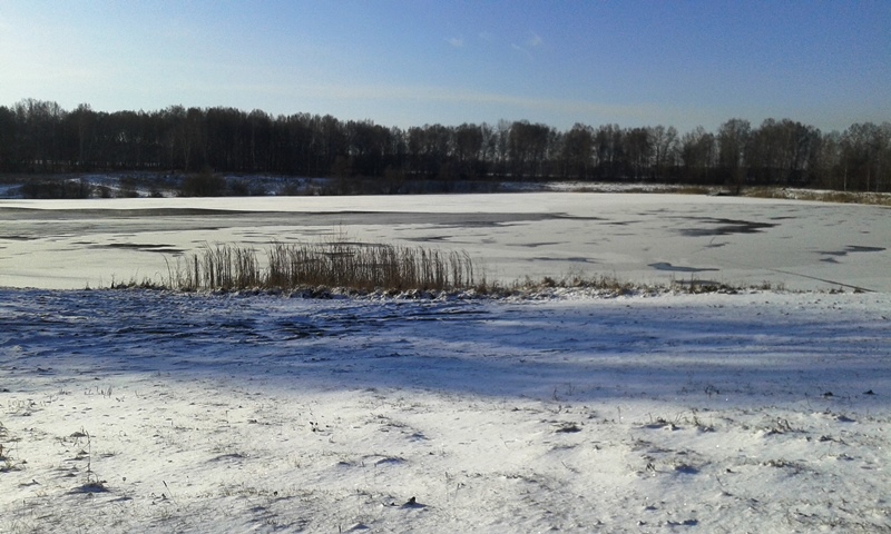 Еще не замерзло
