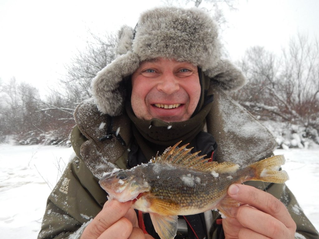 мегаерш