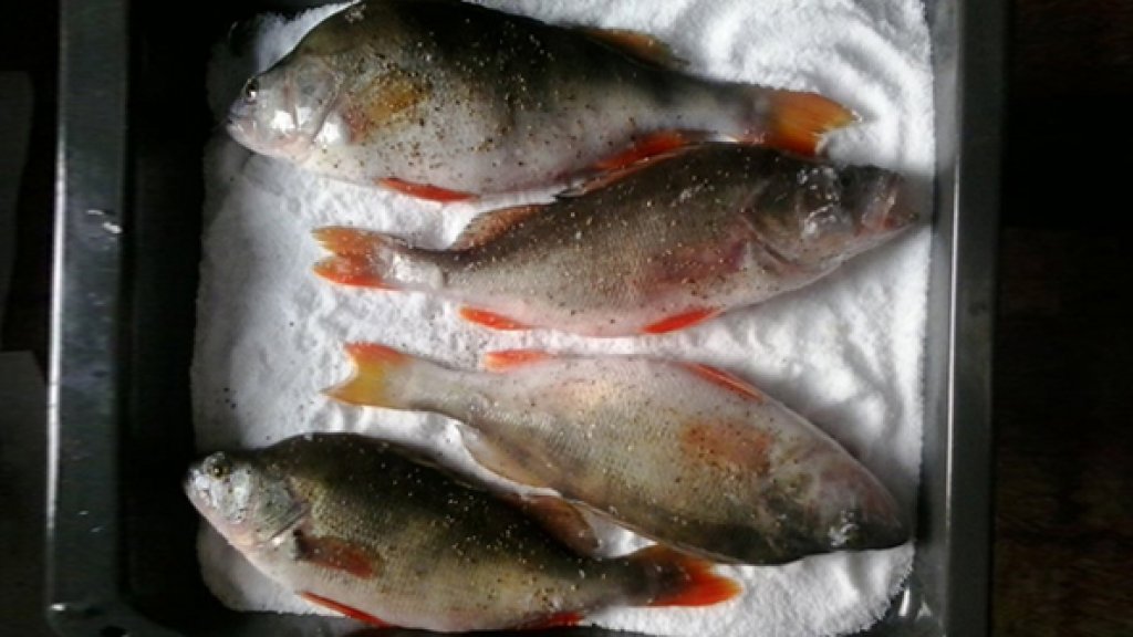 Рецепты приготовления окуня - подборка Fishingsib