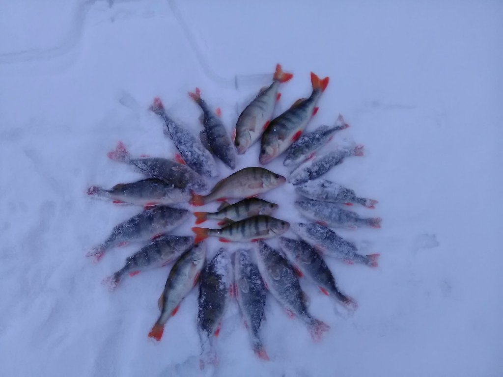 Окуняры