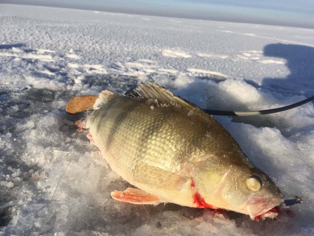 Морской Боцман