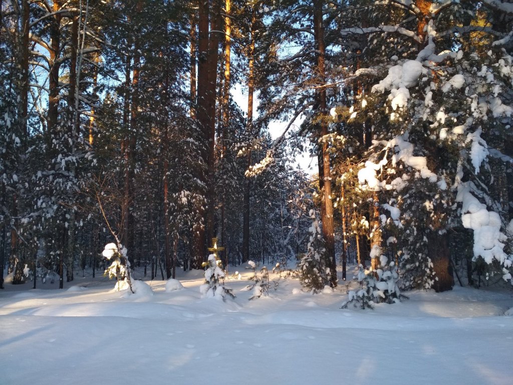 Бибеевские красоты,НСО.