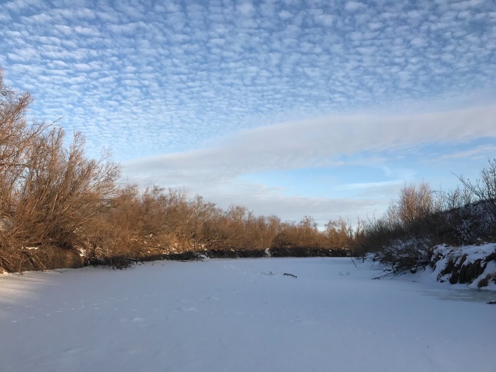 Чулым