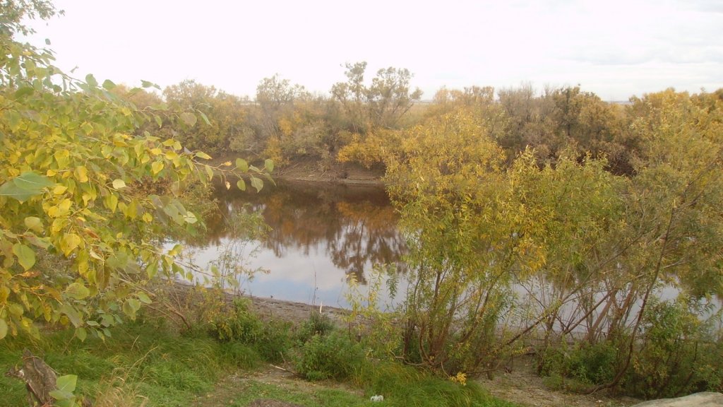 Ловля щуки троллингом на малых реках.