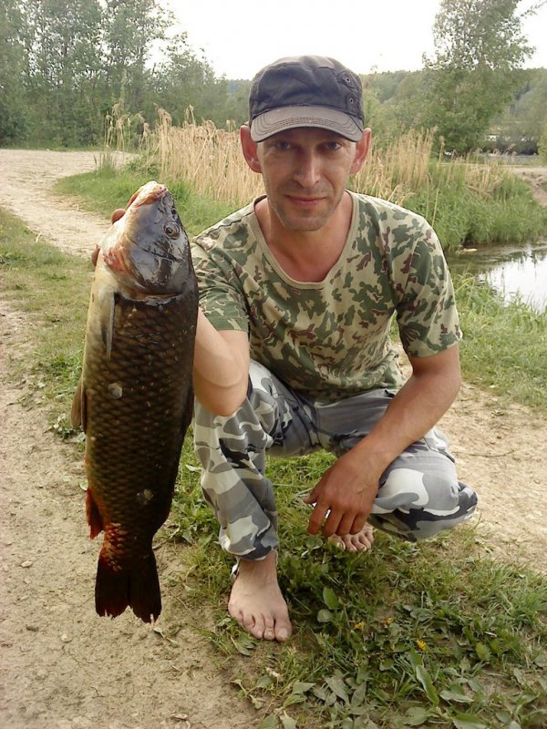сазанчик