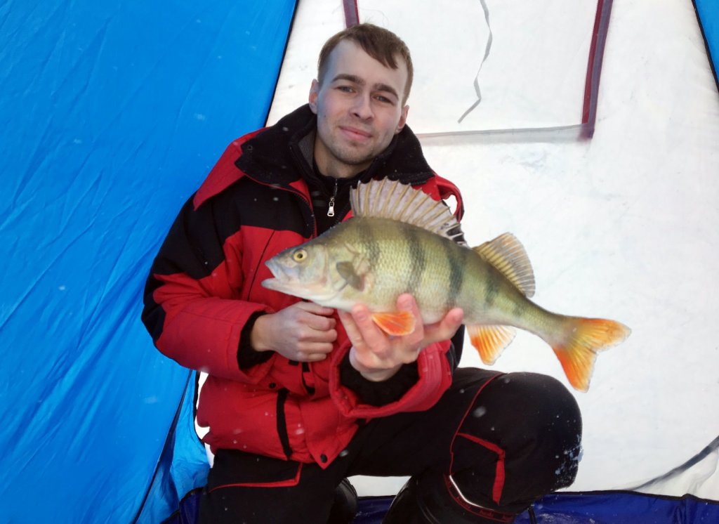 650гр удовольствия