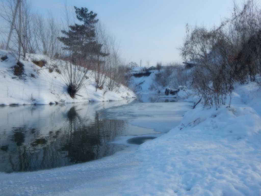 Зимняя Тулка