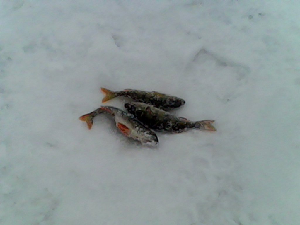 оз Красное