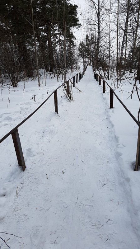 Лестница Коёна