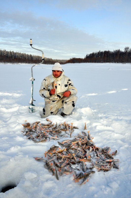 Крайний север