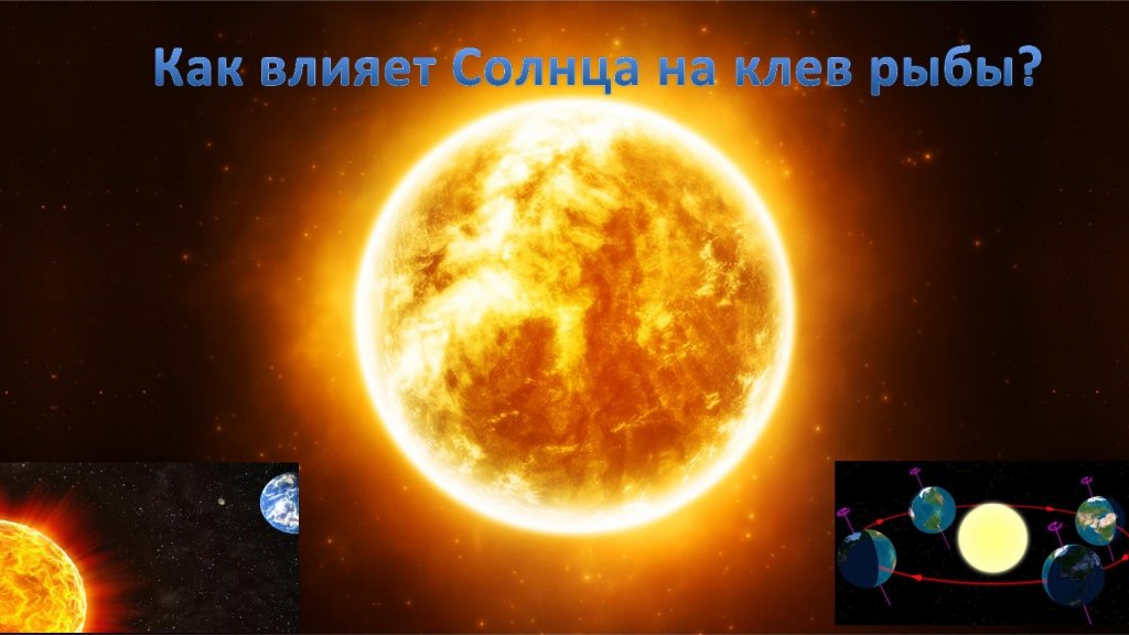 Влияние Солнца на клев рыбы на Днепре