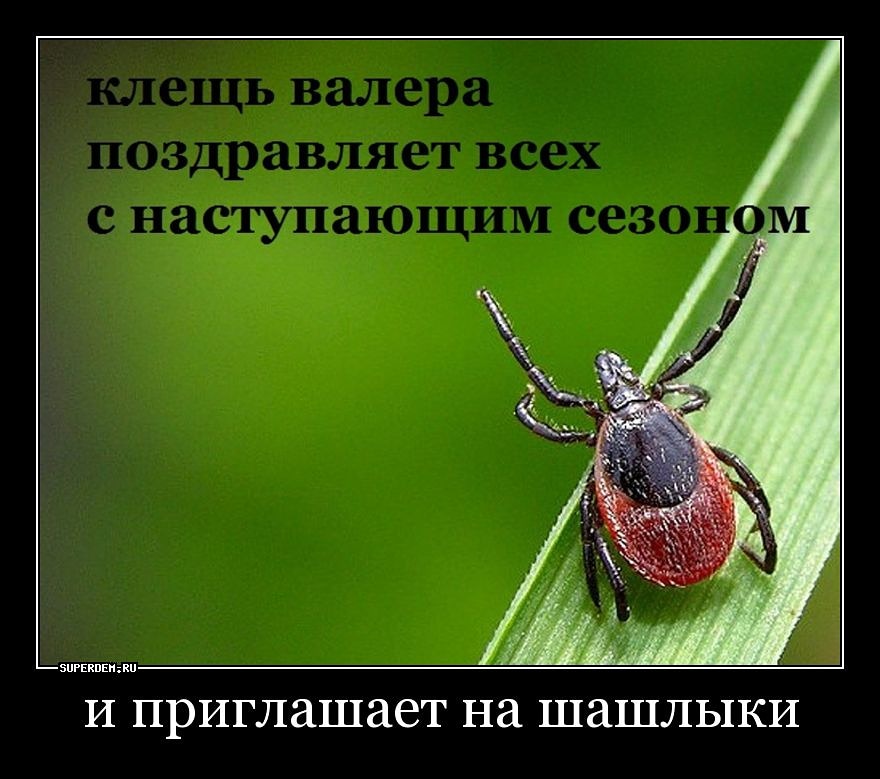 Валерий ждёт всех на природе. Не забываем про защиту от клещей.