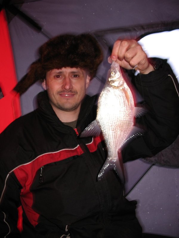 подлещик