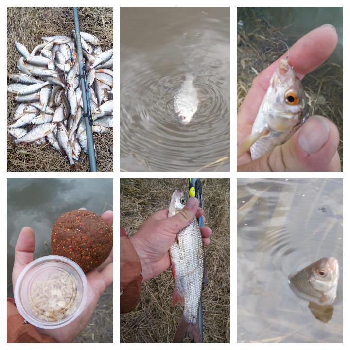 Малые реки НСО.