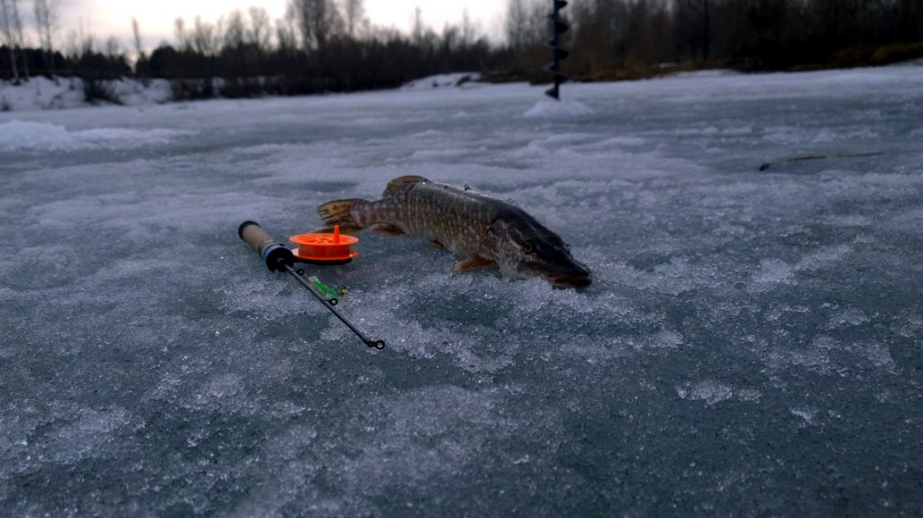 На Обском заливе.