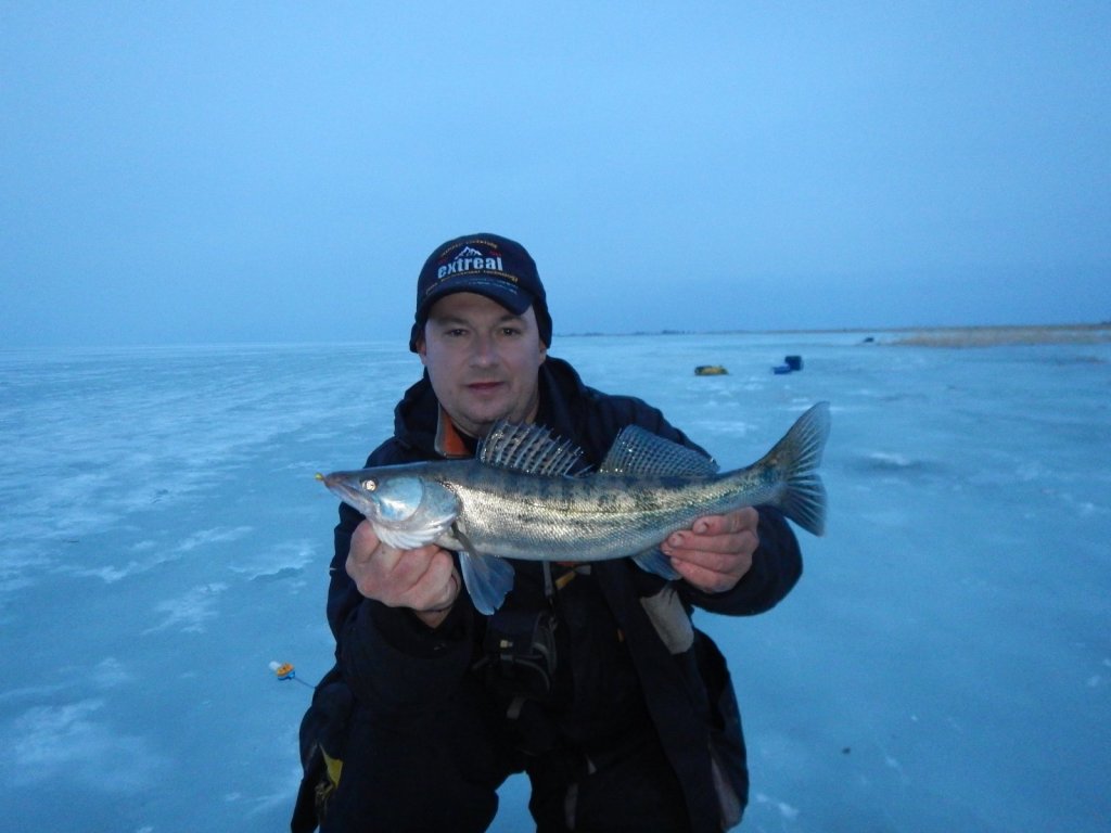 клыкастый