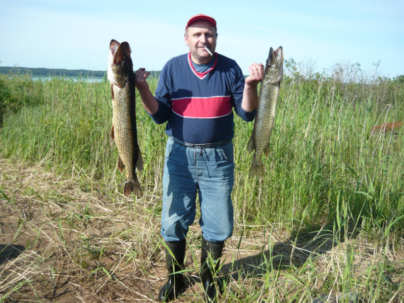 Вуокса.Лен.область