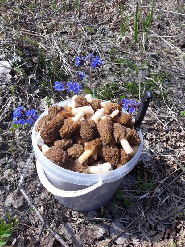 Пошла жара !)