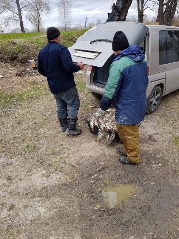 Два упыря ставят километры сетей на котловане ЖБИ. Запрет, говорите?