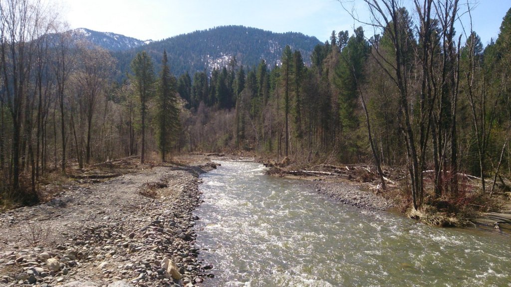 Самыш
