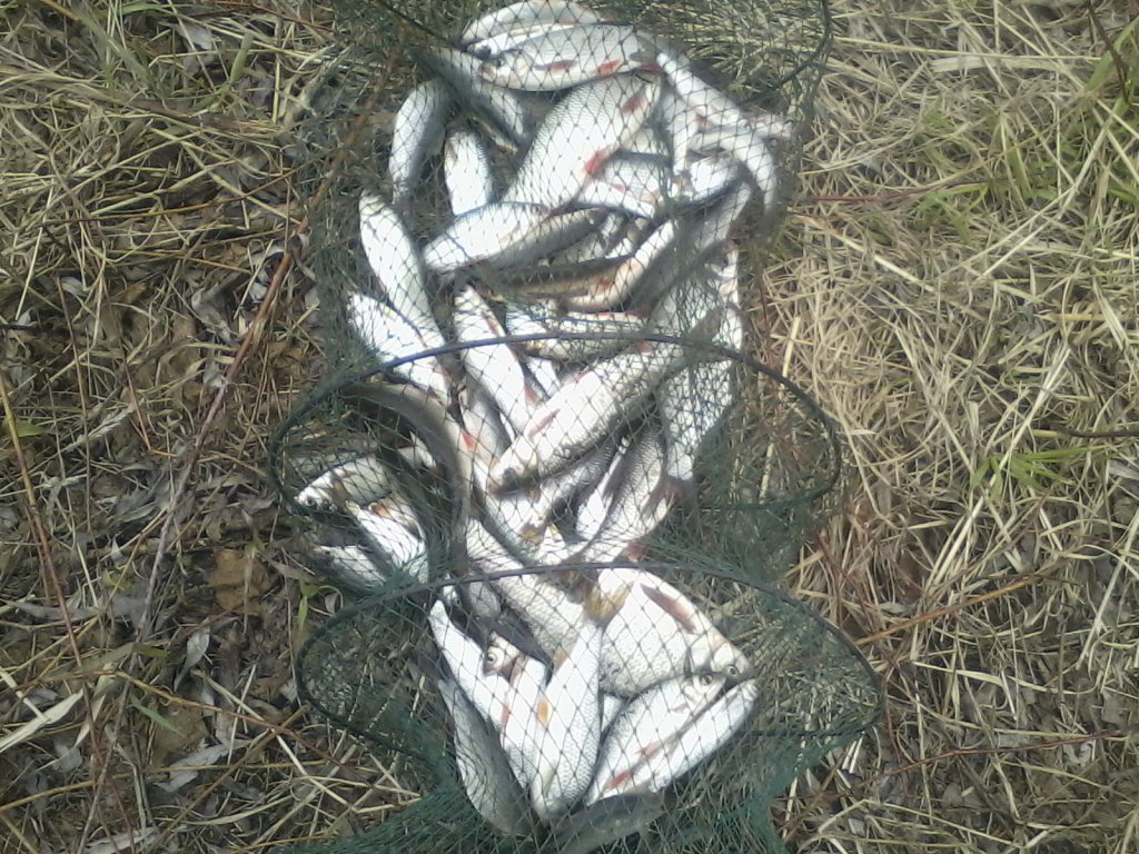 Для 2osm