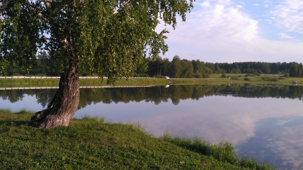 Тишина перед бурей