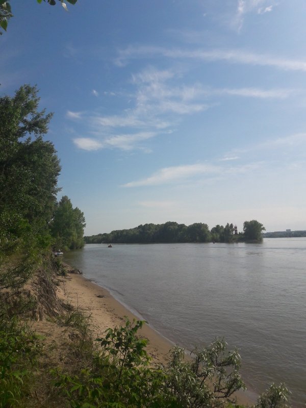 Обь. Начало спада воды.