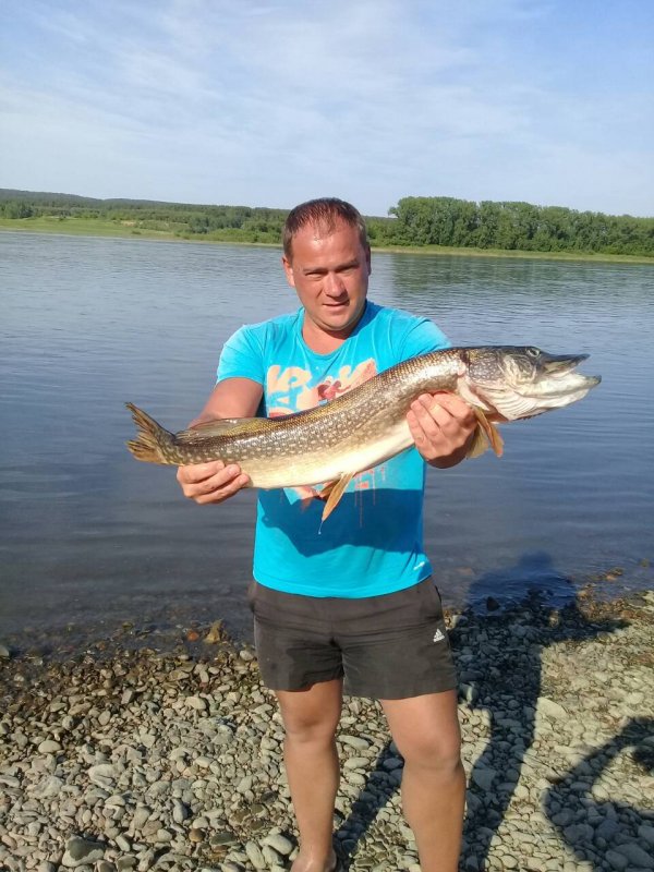 уровень  ! начало ! раздачи !