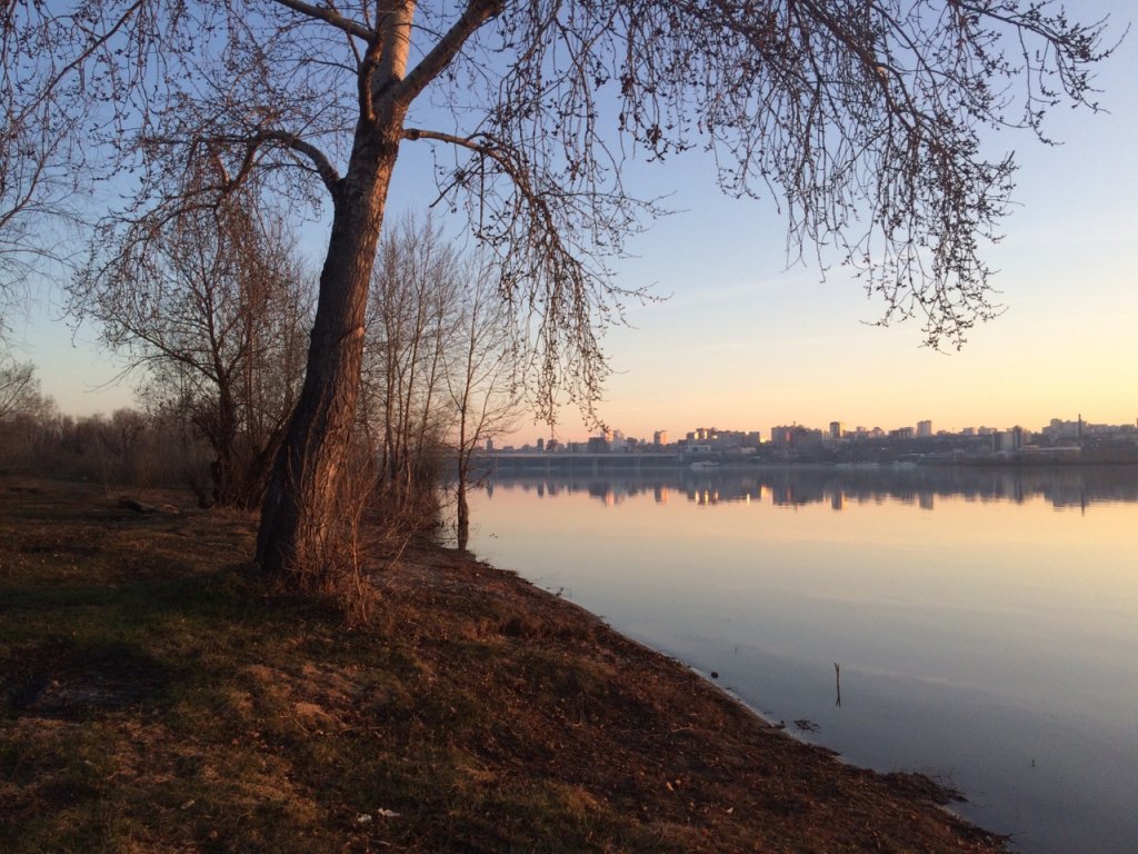 Зорька