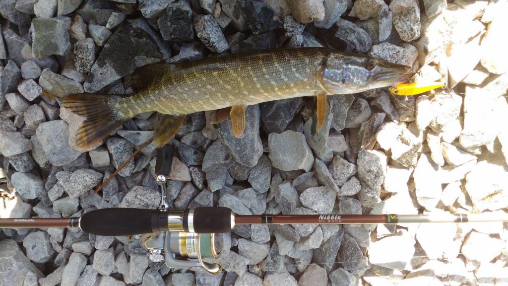 Norstream Nibble NBS-662UL (Specifically For Crankbaits).
