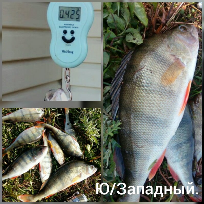 Очередной "морской" матрос пойман.