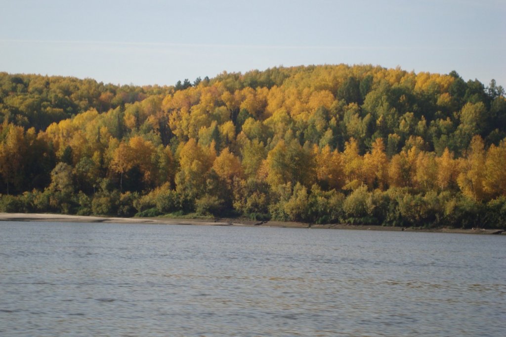 Осень в разгаре