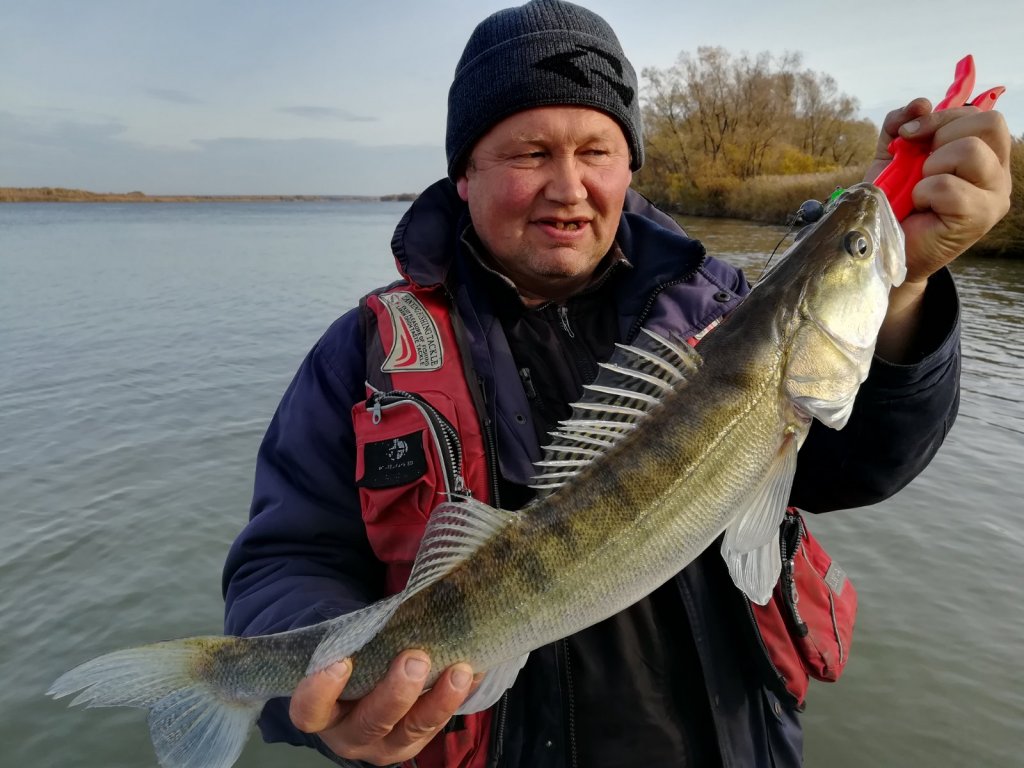 Зарисовки осени 2018 3
