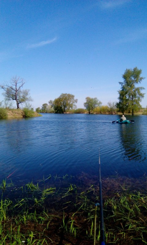 Курья