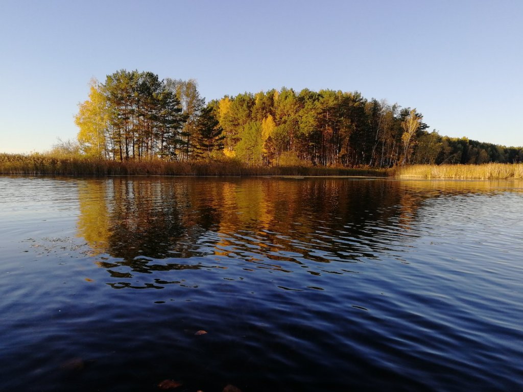 Золотая Осень.