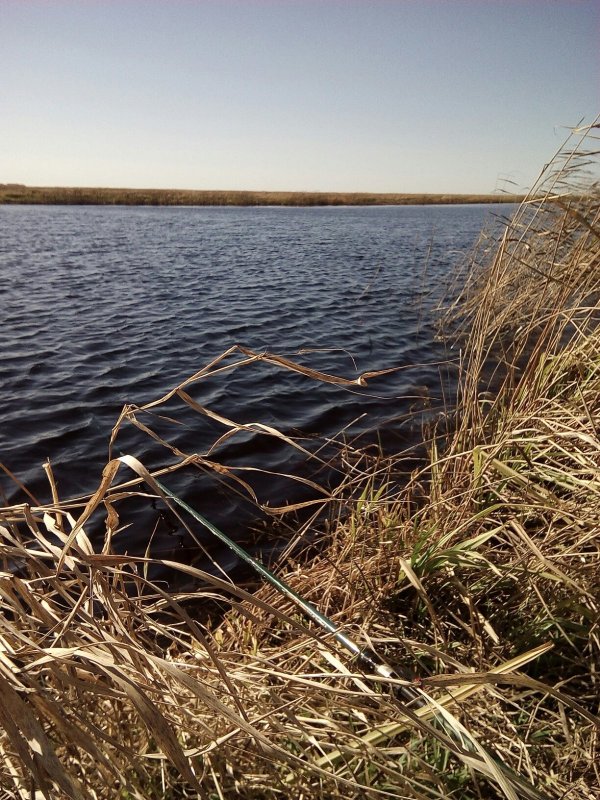 Чулым