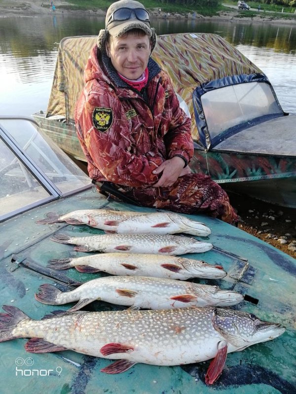 кабанчики